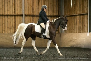 Isis Dressage Crown Farm Show 29th April 2012